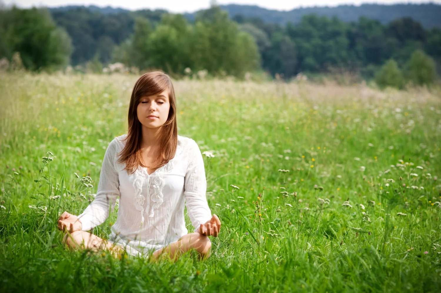 Nature’s Medicine How the Outdoors Heal Mind and Body